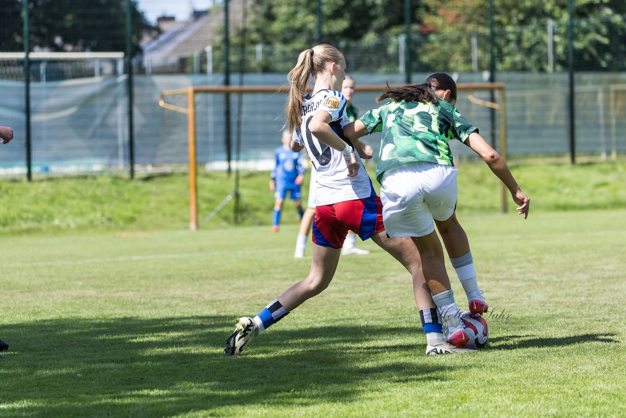 Bild 104 - wBJ Hamburger SV - VfL Wolfsburg : Ergebnis: 5:1